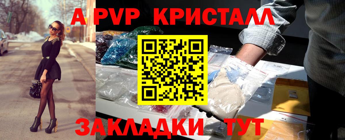Alfa_PVP СК КРИС Курск