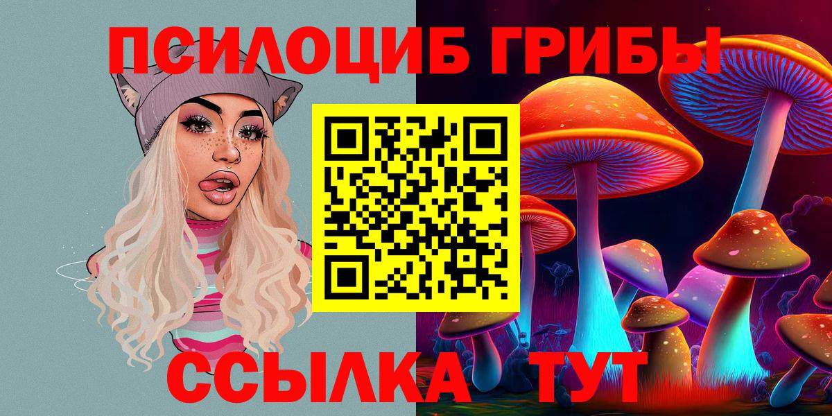 Курск  Псилоцибиновые грибы Cubensis  Псилоцибиновые грибы мицелий  Вход с VPN 