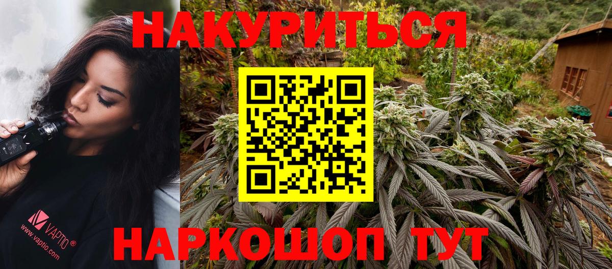 Курск  Конопля гибрид  Вход с VPN  Каннабис гибрид 